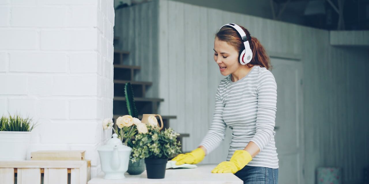 Spring Cleaning Spring Cleaning